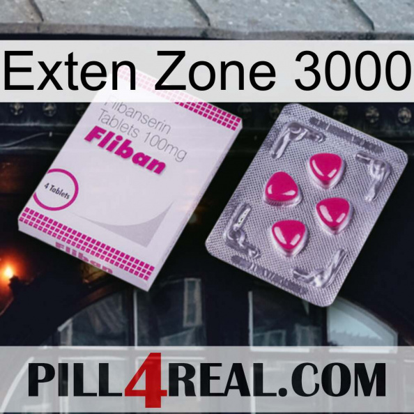 Exten Zone 3000 32.jpg